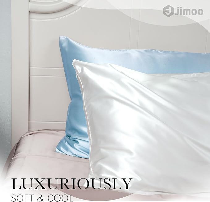 100% Mulberry Silk Pillowcase for Hair and Skin, 22 Momme Pure Natural Silk Pillow Case Both Sided with Zipper, Pillow Cover for Women Mom Men (Light Blue, Queen 20''×30'', 1 Pack) - Bloomnest