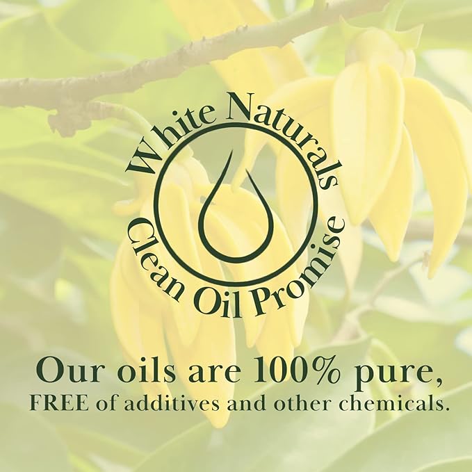 Organic Ylang Ylang Essential Oil - 100% Pure & Natural -Premium Therapeutic Grade with Premium Glass Dropper - Undiluted Natural/Homeopathic Aromatherapy Scented, Great for DIY Soap Making, Massage - Bloomnest