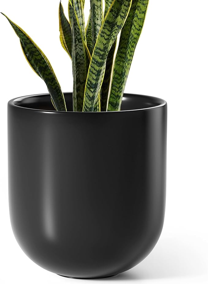 LE TAUCI 10 Inch Plant Pot, Ceramic Pots for Plants with Drainage Hole and Rubber Plug, Plant Pots Indoor for Olive Tree, Cylinder Planter Pot for Home Patio Office, Black - Bloomnest