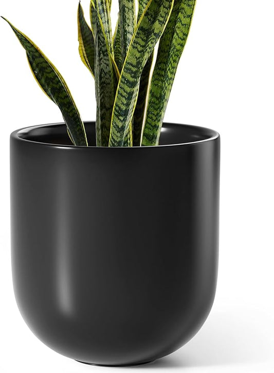 LE TAUCI 10 Inch Plant Pot, Ceramic Pots for Plants with Drainage Hole and Rubber Plug, Plant Pots Indoor for Olive Tree, Cylinder Planter Pot for Home Patio Office, Black - Bloomnest
