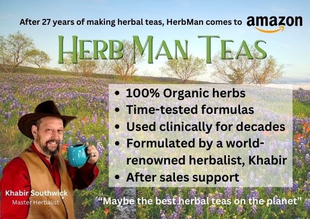 MORNING ENERGY TEA – Smooth, steady energy without coffee jitters – formulated by Master Herbalist Khabir – 100% organic, non-GMO, no additives - Bloomnest