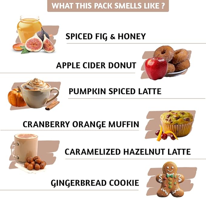 Folkulture Incense Cone Scented | Set of 6 (60) Fall Incense Cones for Relaxation | Pumpkin Spice Inscents or Gingerbread Fall Scents | Inscent Cone Variety Pack for Fall Essentials