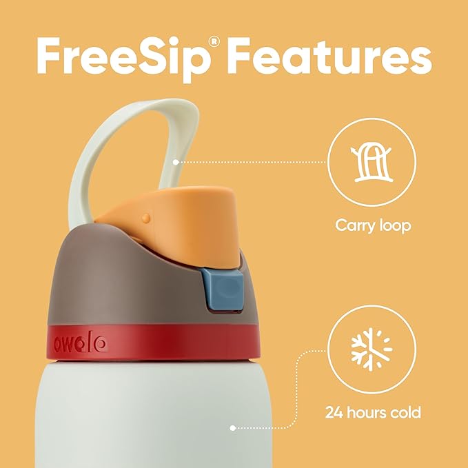 Owala FreeSip Insulated Stainless Steel Water Bottle with Straw for Sports, Travel, and School BPA-Free Sports Water Bottle, 32 oz, Boneyard (Pack of 6) Owala