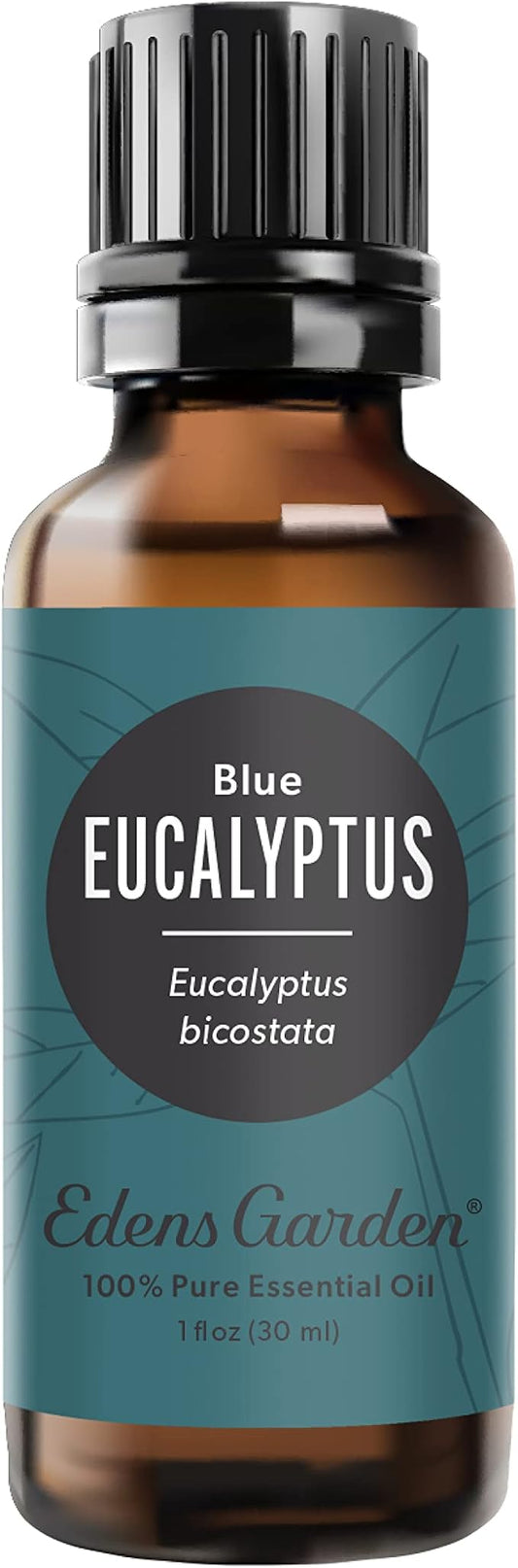 Edens Garden Eucalyptus- Blue Essential Oil- 100% Pure Premium Grade, Undiluted, Natural, Therapeutic, Aromatherapy, The Best for Diffuser, Skin, Candle, Humidifiers 30 ml (1 fl oz) EdensGarden
