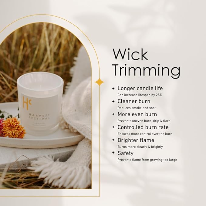 Long-Lasting Harvest Festival Fragrance - Single Wick Scented Candles - Up to 60 Hour Burn Time, Cruelty-Free Soy Candle Wax Blend - Pumpkin Fragrance, Notes of Amber & Orange (9 oz) - Bloomnest