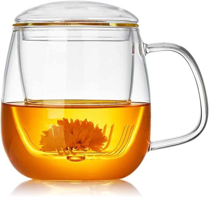 Large Glass Tea Cup, 25.6 oz Borosilicate Glass Tea Mug with Infuser and Lid, Clear Tea Cups for Brewing Scented Tea and Tea Bag - Bloomnest