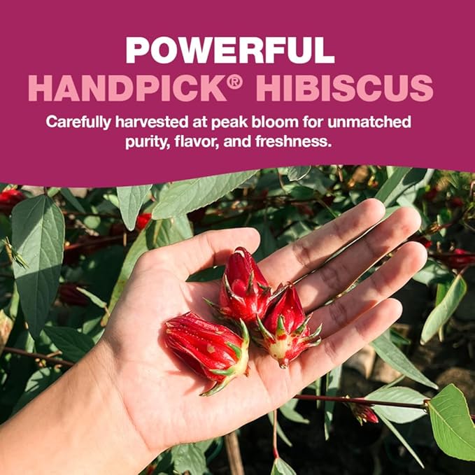 HANDPICK, Organic Hibiscus Tea Bags (100 Tea Bags) | Caffeine-Free, 100% Natural Pure Indian Hibiscus Flowers | Ayurvedic Benefits in every sip - Bloomnest