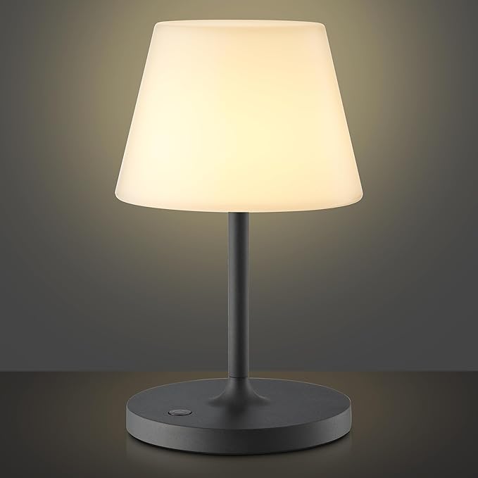 Cordless Lamp, 5000mAh Battery Operated Rechargeable Table Lamp with Power Bank, Touch Dimmable 3 Color Temperatures, IP44 Waterproof Shower Lamp for Kitchen, Bathroom, Indoor Or Outdoor Use 9.6in - Bloomnest