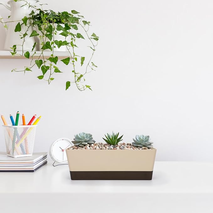 GREANER 6 Pack Window Box Planter,12x3.8 Inch Rectangle Herb Planter with Saucer, Modern Indoor Small Succulent Cactus Plastic Plant Pot for Windowsill, Garden Balcony, Home Office Outdoor Decoration - Bloomnest