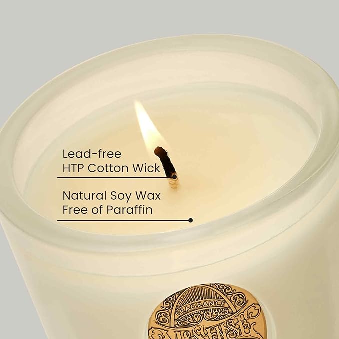M&SENSE Natural Soy Candle | Creamy Vanilla Pie & White | 9.2 oz, 50H Burn Time | Luxury Scented Candle for Relaxation, Gifting, Home Décor | Ideal for Bedroom, Office, Party Ambiance - Bloomnest