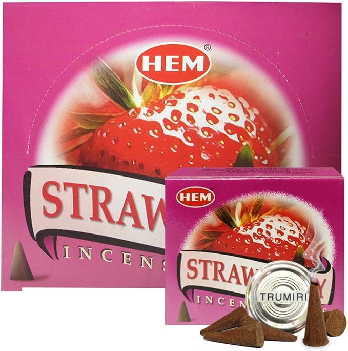 Strawberry Incense Cones and Cone Incense Burner Bundle Insence Insense Hem Incense TRUMIRI