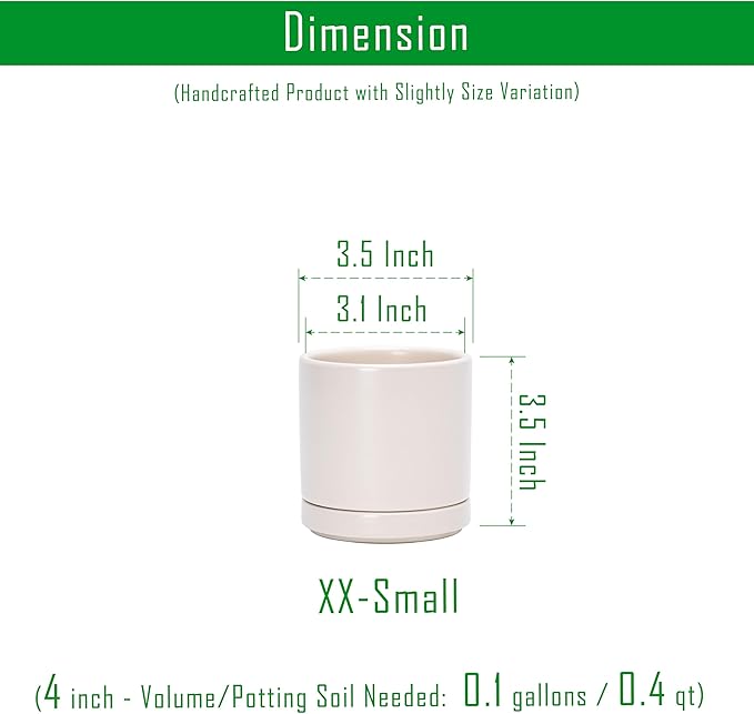 D'vine Dev Set of 4 Small Ceramic Plant Pots, 3.5 Inch Succulent Planter Pot for Plants with Drainage Hole and Saucer, Oatmeal, 94-X-A-8 - Bloomnest