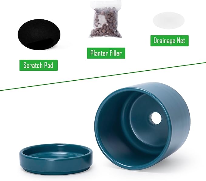 D'vine Dev Set of 2 Plants Pots, 3.5 Inch Ceramic Planter Pot for Plants with Drainage Hole and Saucer, Teal, 94-V-A-9 - Bloomnest