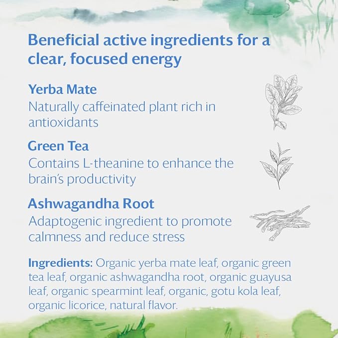 Grace Farms REVIVE Wellness Organic Tea Blend (16 Pyramid Sachets) | Yerba Mate, Green Tea, & Adaptogens | Natural Energy Coffee Replacement | Fairtrade & Kosher | Gives Back 100% of Profits - Bloomnest