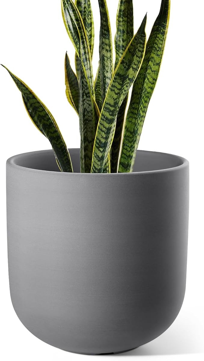 LE TAUCI 10 Inch Plant Pot, Ceramic Pots for Plants with Drainage Hole and Rubber Plug, Plant Pots Indoor for Home Garden Patio Office, Cylinder Planters for Indoor Plants, Charcoal Gray - Bloomnest
