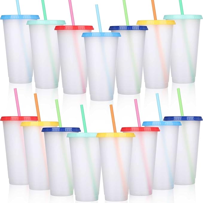 Honeydak 15 Pack Tumbler with Straw and Lid Bulk Water Bottle Iced Coffee Travel Mug Cup Reusable Plastic Cups for Party Birthdays 24-27 oz (Stylish Color) - Bloomnest