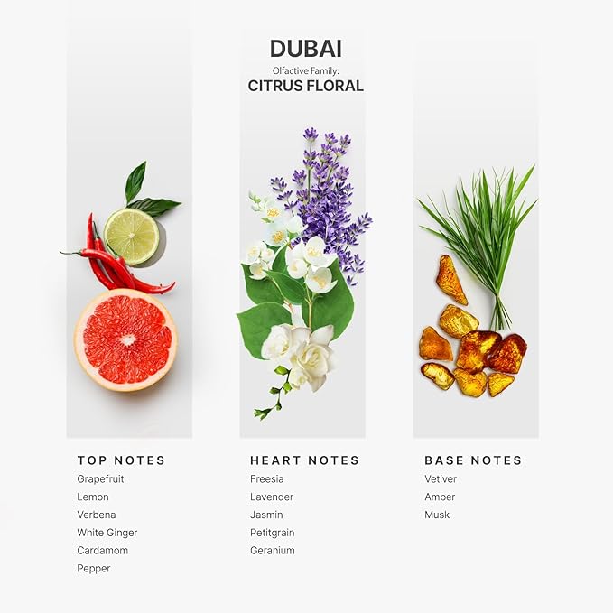 AromaPlan Hotel Scents Dubai 5 Fl Oz (2 Pack), Luxury Aroma & Hotel Fragrance Diffuser Oil- Hotel Diffuser Oil for Aromatherapy- USA Made, Bigger Bottle, Bolder Aroma & Longer Lasting - Bloomnest