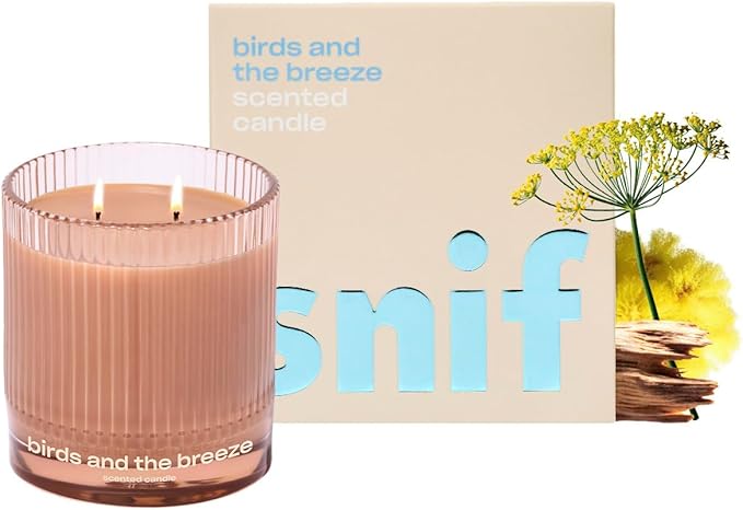Birds and The Breeze Luxury Scented Candle by Snif, Light and Airy Scent, 50+ Hours, 100% Cotton Fiber Wicks, Soy Wax Blend, Non-Toxic, Vegan, 8.5 oz… - Bloomnest