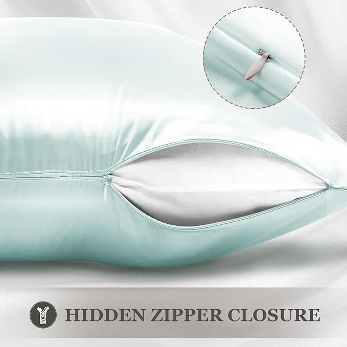 Adubor 100% Silk Pillowcase - Mulberry Silk Pillow Cases, 23 Momme 6A Grade Fibers, Silk Pillow Case for Hair and Skin Health, with Hidden Zipper (Queen 20''x30'', Light Green, 1PC) - Bloomnest