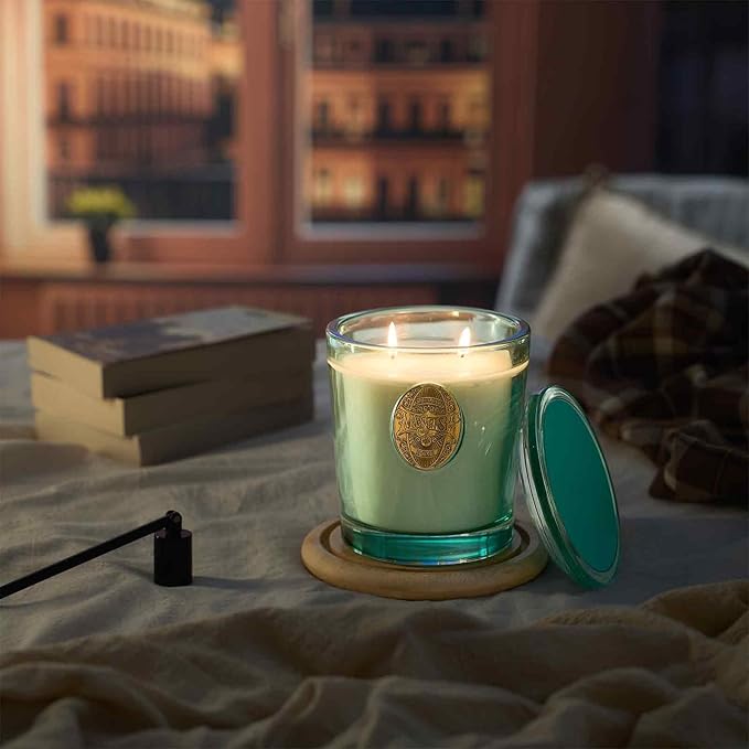 M&SENSE Large Two-Wick Aromatherapy Soy Candle | Eucalyptus Mint & Blue | 19.8 oz, 120H Burn Time | Luxury Scented Candle for Relaxation, Gifting, Home Décor | Ideal for Bedroom, Office - Bloomnest