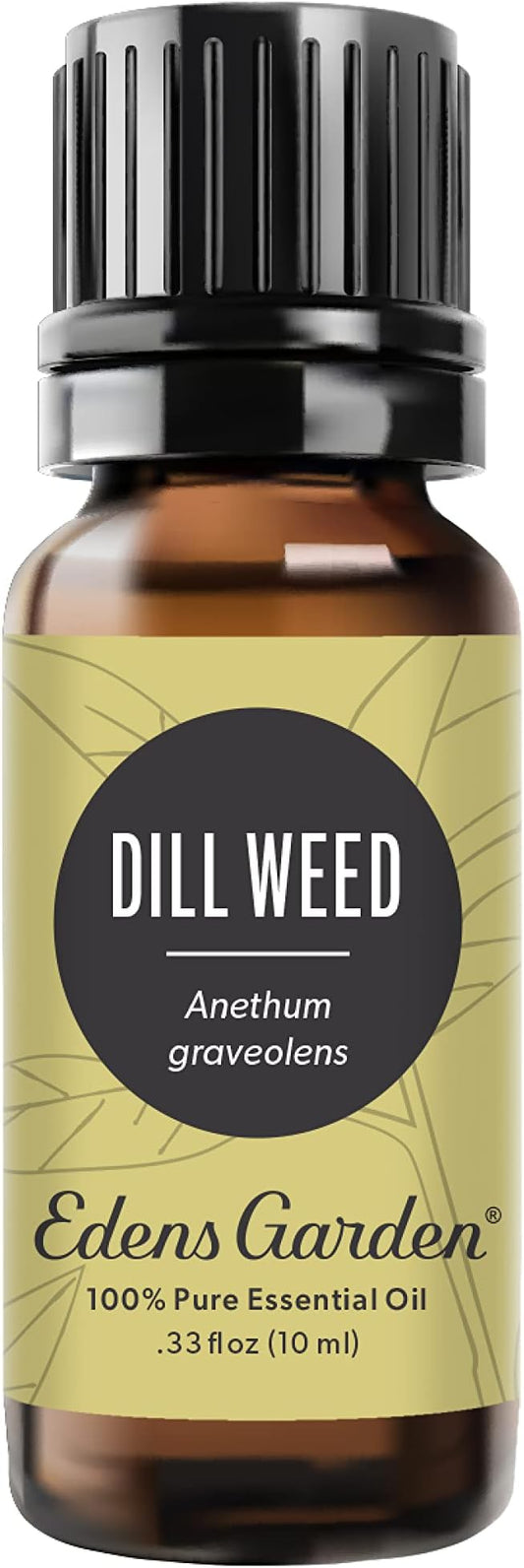 Edens Garden Dill Weed Essential Oil, 100% Pure Therapeutic Grade (Undiluted Natural/Homeopathic Aromatherapy Scented Essential Oil Singles) 10 ml EdensGarden