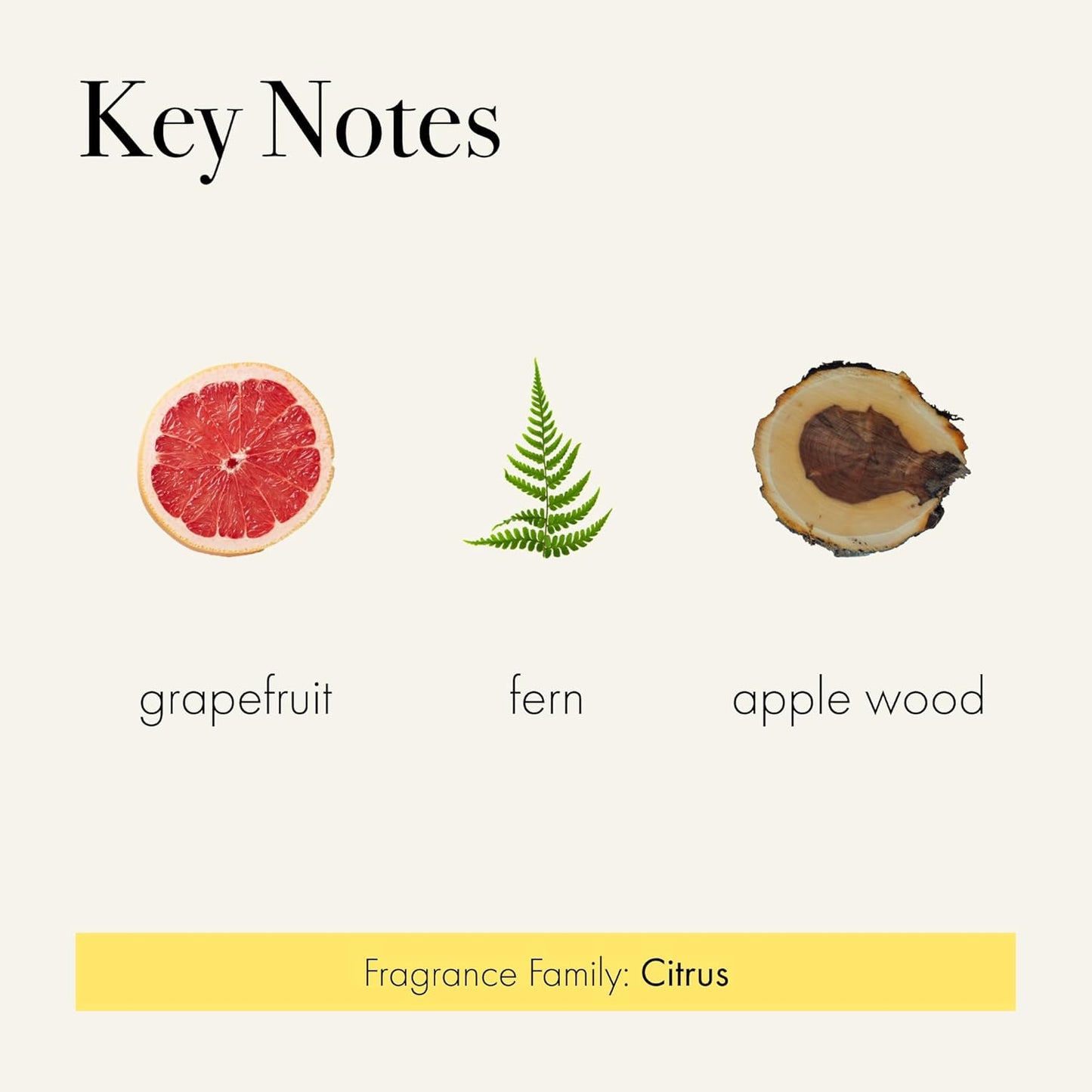 LAFCO New York Signature Candle, White Grapefruit - 15.5 oz - 90-Hour Burn Time - Reusable, Hand Blown Glass Vessel - Made in The USA