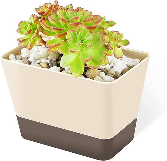 GREANER Planter Pot with Drainage, 1 Pack 6x3.8 Inch Herb Indoor Window Box with Tray, Modern Plastic Plant Flower Succulent Cactus Container for Windowsill, Garden Balcony, Home Office Outdoor Decor - Bloomnest