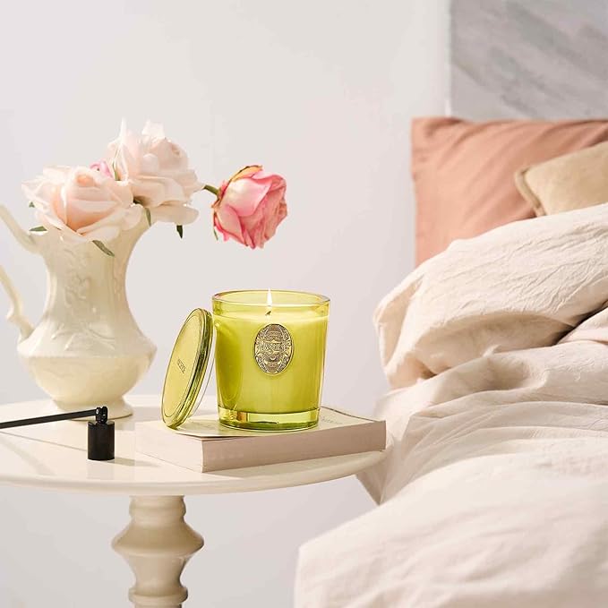 M&SENSE Natural Soy Candle | Seattle Rainforest & Matcha Green | 9.2 oz, 50H Burn Time | Luxury Scented Candle for Relaxation, Gifting, Home Décor | Ideal for Bedroom, Office, Party Ambiance - Bloomnest