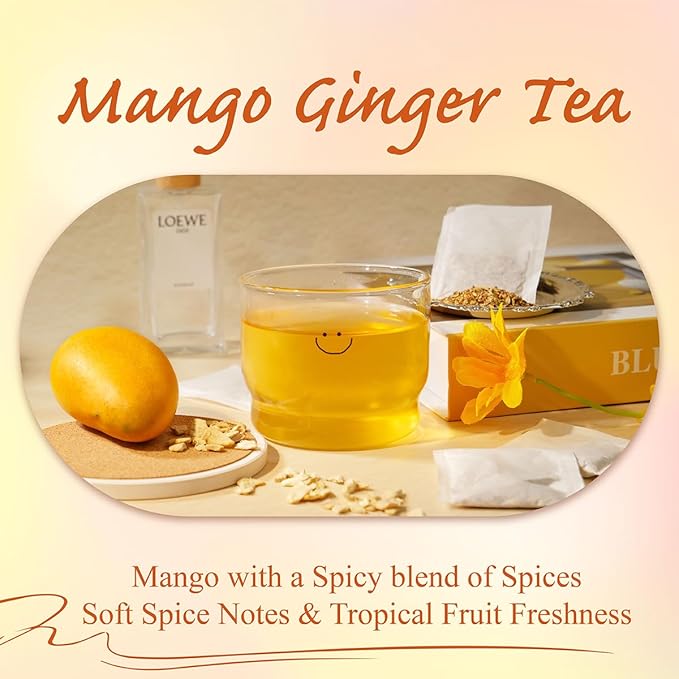WT WEETEE Mango Ginger Tea Bags, 2g x 100 Counts, Flavored Ginger Herbal Tea Includes Cardamom, Fennel, Cinnamon, Rooibos, Licorice & More, Natural Caffeine-free - Bloomnest
