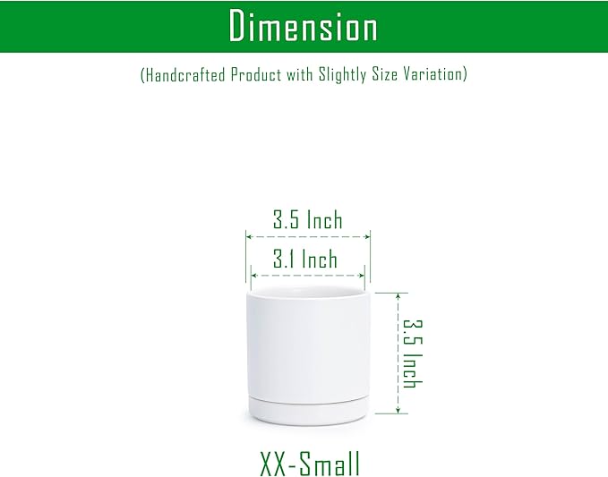 D'vine Dev Set of 2 Plants Pots, 3.5 Inch Ceramic Planter Pot for Plants with Drainage Hole and Saucer, White, 94-V-A-1 - Bloomnest