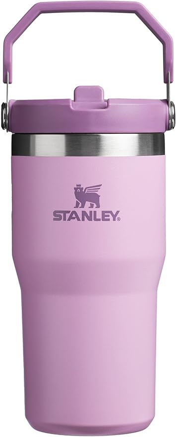 Stanley IceFlow Flip Straw Tumbler with Handle 20 oz | Twist On Lid and Flip Up Straw | Leak Resistant Water Bottle | Insulated Stainless Steel |BPA-Free | Lilac - Bloomnest