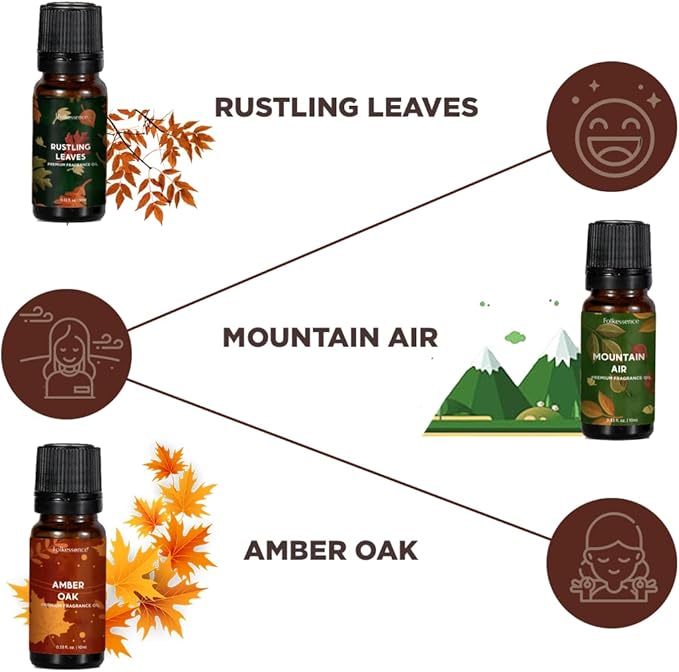 Folkulture Essential Oils for Home | Set of 6 (0.34 fl oz x 6) Fall Essential Oil or Diffuser Oils for Relaxation | Cedarwood Essential Oil or Fall Scents | Amber Oak Fall Essentials for Women - Bloomnest
