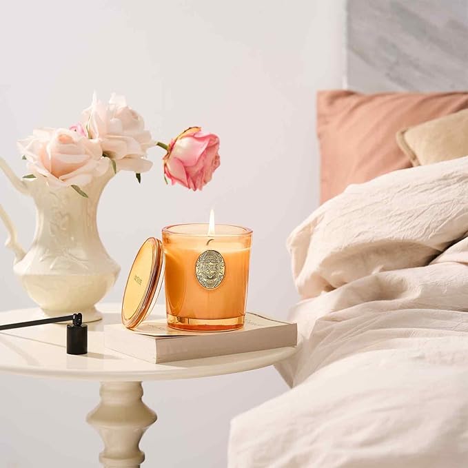 M&SENSE Natural Soy Candle | Basil Ginger & Orange | 9.2 oz, 50H Burn Time | Luxury Scented Candle for Relaxation, Gifting, Home Décor | Ideal for Bedroom, Office, Party Ambiance - Bloomnest