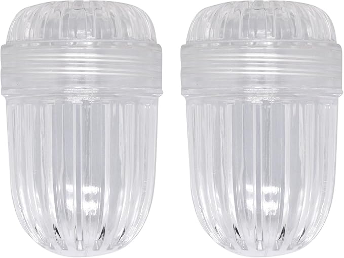 2 pcs Fruit Infuser Insert, Tea Infuser Bottle Ball for Wide Mouth Bottles - Bloomnest