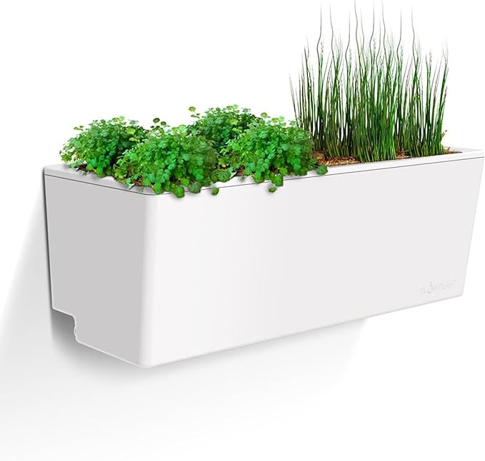Glowpear Self Watering Planter Box - 23.6", White - UV Stable, Scalable Wall Mounts Plant Pot with Water Gauge, Indoor Outdoor for Vegetables, Flowers, Herbs, and Succulents, Gardening - Bloomnest