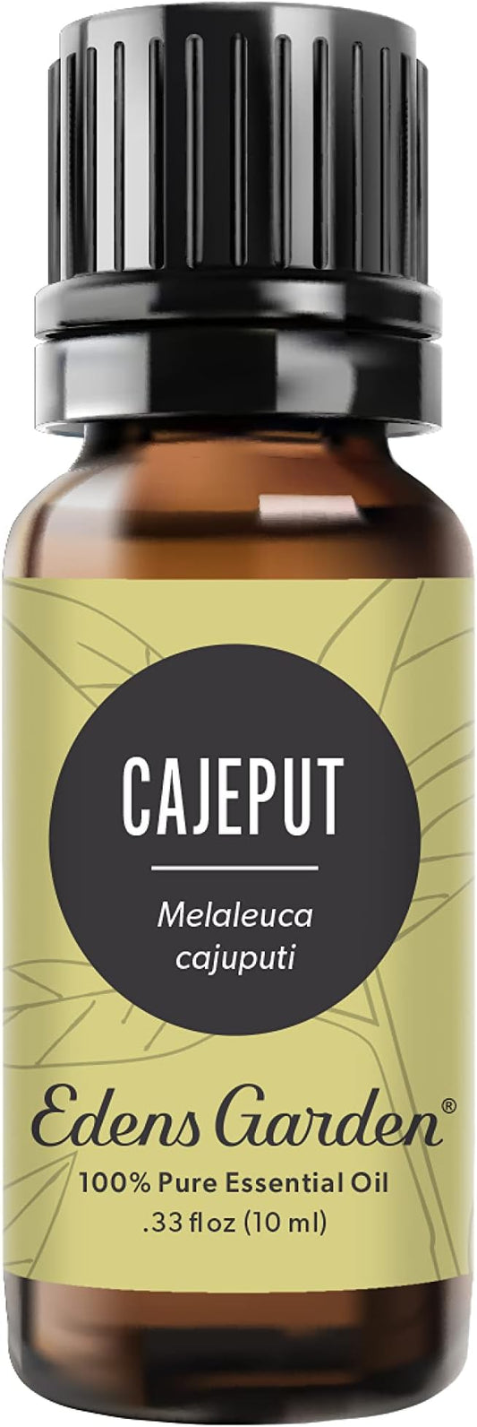 Edens Garden Cajeput Essential Oil, 100% Pure Therapeutic Grade (Undiluted Natural/Homeopathic Aromatherapy Scented Essential Oil Singles) 10 ml EdensGarden