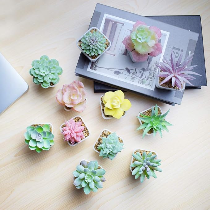 Tiita Artificial Faux Succulents in Pots Fake Plants Plastic Arrangement Planter Small Mini Tiny Decoration for Home Office Desk Window Sill Bathroom Bedroom Outdoor Indoor 12 Set - Bloomnest