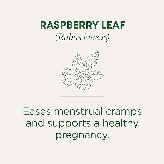 Traditional Medicinals Organic Raspberry Leaf Herbal Tea, Eases Menstrual Cramps & Supports Healthy Pregnancy, (Pack of 2) - 16 Tea Bags - Bloomnest