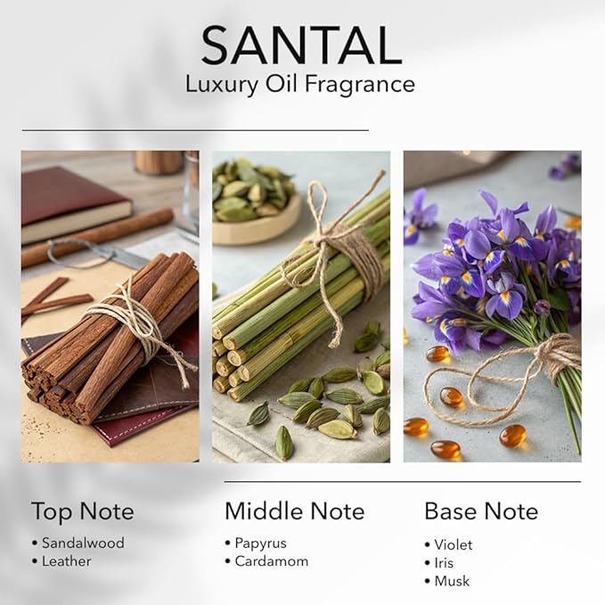 Santal Diffuser Oil, Diffuser Fragrance Oil for Home, Bathroom & Office, Aromatherapy Blend of Natural Essential Oil, Sandalwood & Musk Scent, 1.6 Fl Oz, 50 mL - Bloomnest