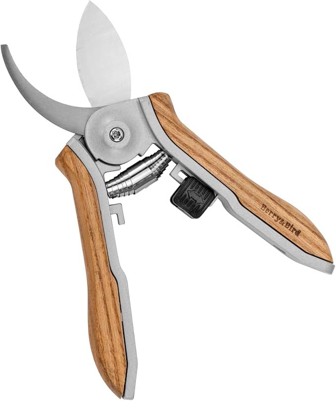 Berry&Bird Mini Pruning Shears for Gardening Curved Blades Hand Pruners with Wooden Handle Garden Scissors Snips Stainless Steel Trimming Small Clippers Bonsai Compact Size Sheaering Tool - Bloomnest