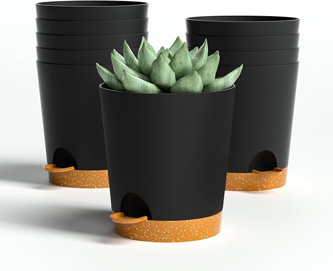 4 inch Small Plant Pots for Outdoor Indoor Plants, 10 Pack Planters with Drainage Holes and Tray, Small Self Watering Pots for Succulent, Cactus, Aloe and Other Plants (Black) - Bloomnest
