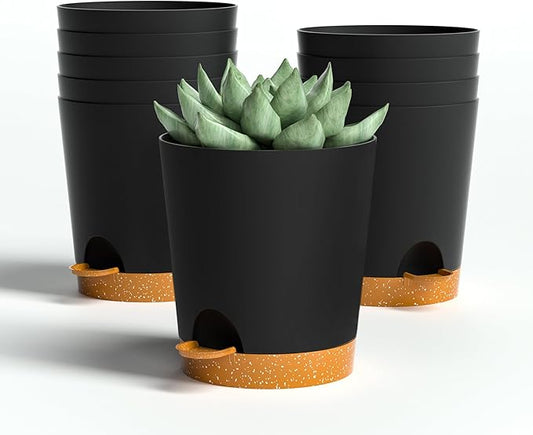4 inch Small Plant Pots for Outdoor Indoor Plants, 10 Pack Planters with Drainage Holes and Tray, Small Self Watering Pots for Succulent, Cactus, Aloe and Other Plants (Black) - Bloomnest