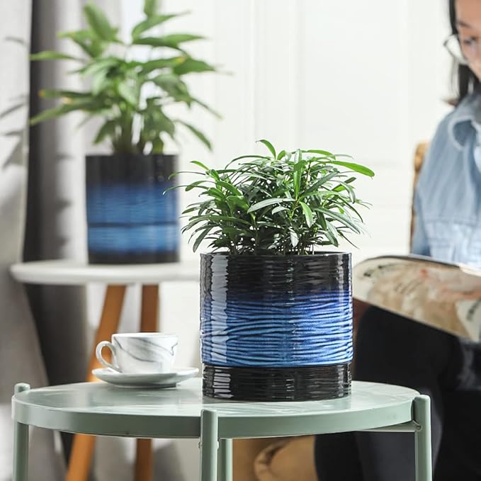 Nihow Self Watering Plant Pot: 6 Inch Ceramic Planter with Drainage Hole & Water Storage Plus for Indoor & Outdoor Plants - Cylinder Round Flower Pot for Succulent/Herbs/Violets - Black & Vivid Blue - Bloomnest