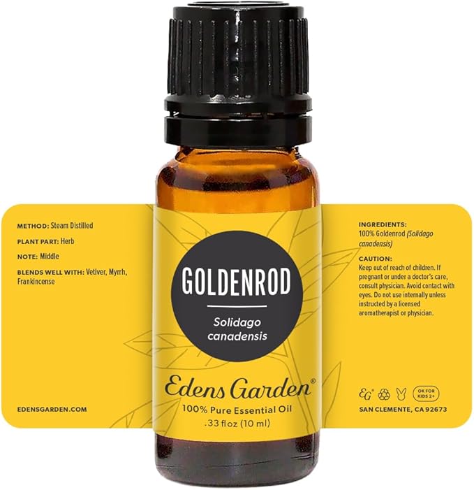 Edens Garden Goldenrod Essential Oil- 100% Pure Premium Grade, Undiluted, Natural, Therapeutic, Aromatherapy, The Best for Diffuser, Skin, Face, Humidifiers 10 ml (.33 fl oz) EdensGarden