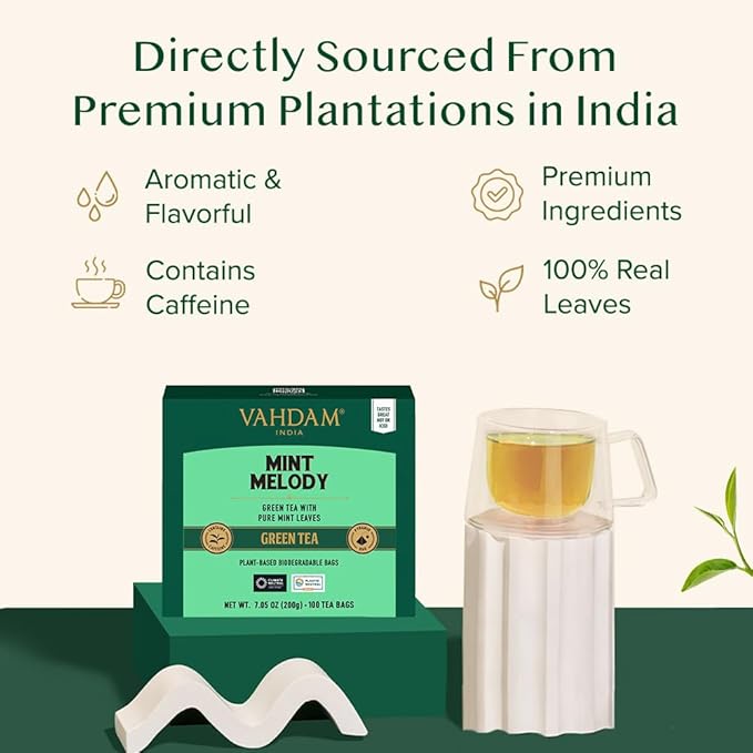 VAHDAM, Mint Green Tea Bags (100 Count) 100% Pure Leaf Tea, High Grown, Low Caffeine, Non GMO, Gluten Free | Plant-Based Pyramid Tea Bags | Direct from Source - Bloomnest