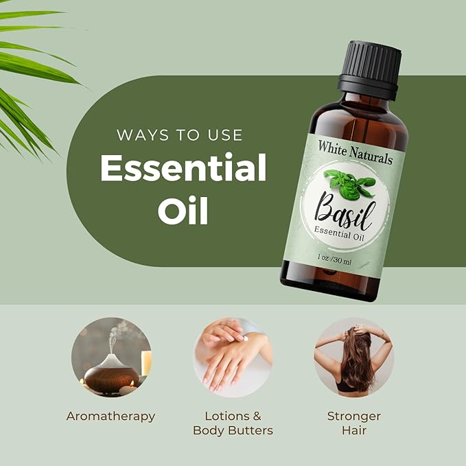 Basil Essential Oil,100% Pure & Natura, Therapeutic Grade Basil Oil for Aromatherapy, Great for Skin, Massage, Diffuser Candle & Soap Making, Plant Therapy 1 oz Bottle with Dropper - Bloomnest