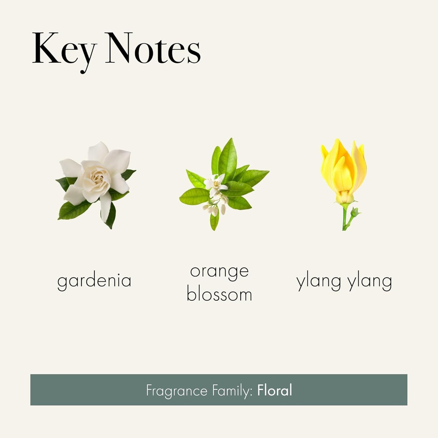 LAFCO New York Signature Candle, Fresh Cut Gardenia - 15.5 oz - 90-Hour Burn Time - Reusable, Hand Blown Glass Vessel - Made in The USA