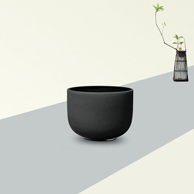 RYAN DVAN 11 Inch D Note Black Frosted Sacral Chakra Crystal Singing Bowl with Free Heavy-Duty Carrying Case and Suede Striker O-Ring - Bloomnest