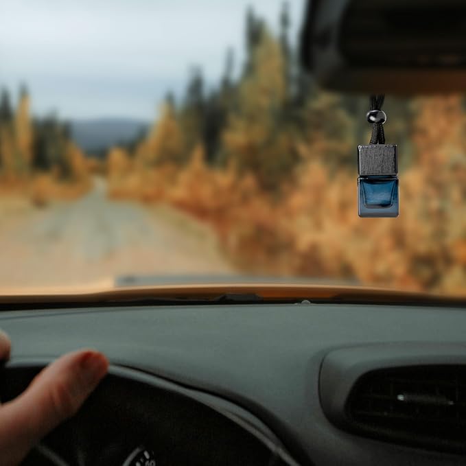 4 Pack Empty Hanging Car Air Freshener Bottles, Refillable Essential Oil Diffuser for Car & Office, Aromatherapy Decor Cube - Bloomnest