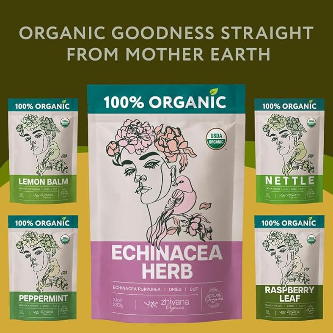 Organic Echinacea Herb (4 oz.) - Equinacea Organica - Echinacea Purpurea Loose Leaf Tea - Immunity, Respiratory System, Digestion - Bloomnest